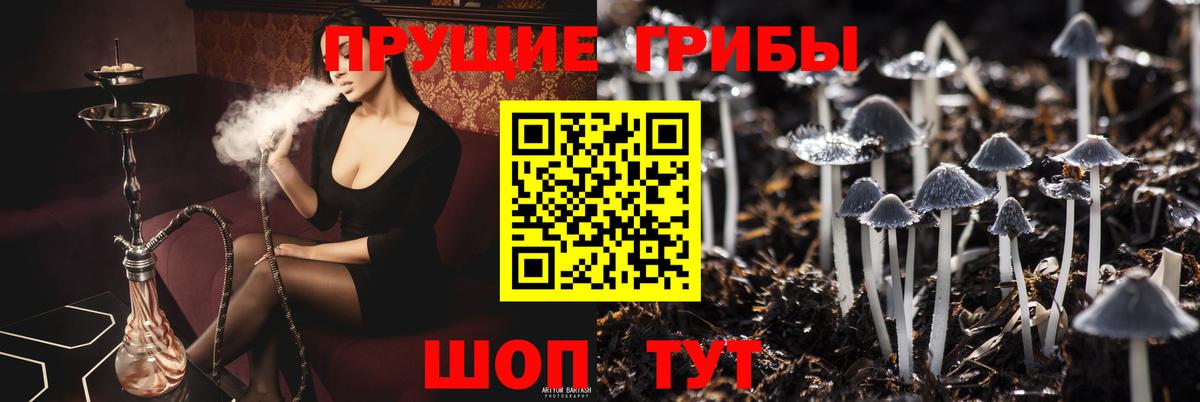 Галлюциногенные грибы ЛСД  Псилоцибиновые грибы ЛСД  Советская Гавань  Вход с VPN 