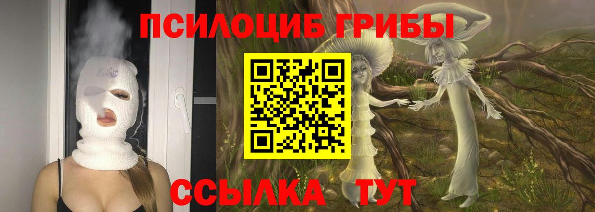 Галлюциногенные грибы Psilocybe Советская Гавань